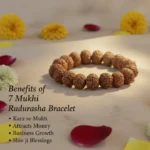 7 Mukhi Rudraksha Bracelet - Image 4