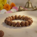 7 Mukhi Rudraksha Bracelet - Image 3