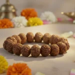 7 Mukhi Rudraksha Bracelet - Image 5